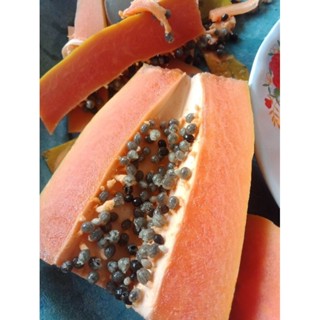 มะละกอแขกดำเนิน35เมล็ด20บาท