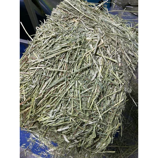 หญ้าทิมโมธี แบบปึก 3 กิโลกรัม หญ้าทิมโมธี นำเข้าจาก USA