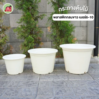 กระถาง กระถางต้นไม้ กระถางพลาสติก 10นิ้ว แพ๊ค10ใบ