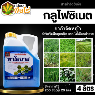 🌽 พาโตบาส (กลูโฟซิเนต-แอมโมเนียม) 4ลิตร กำจัดวัชพืชหลังงอกแบบไม่เลือกทำลาย ทั้งใบแคบและใบกว้าง