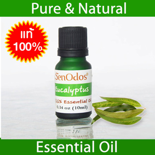 SenOdos น้ำมันหอมระเหยแท้ 100% กลิ่นยูคาลิปตัส Eucalyptus 100% Pure Essential Oil 10 ml.