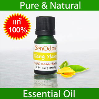 SenOdos น้ำมันหอมระเหยแท้ 100% กลิ่นกระดังงา Ylang Ylang 100% Pure Essential Oil 10 ml.