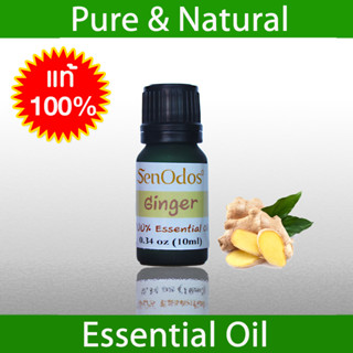 SenOdos น้ำมันหอมระเหยแท้ 100% กลิ่นขิง Ginger 100% Pure Essential Oil 10 ml.