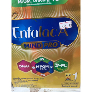 นม เอนฟาแล็ค เอพลัส มายด์โปร ดีเอชเอ พลัส เอ็มเอฟจีเอ็ม โปร 1 วิท ทู-เอฟแอล นมผง เด็ก นม enfa สูตร1 500 กรัม