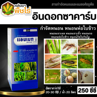 🌽 แอมเมท (อินด๊อกซาคาร์บ) 250ซีซี ป้องกันกำจัดหนอนห่อใบข้าวในนาข้าว หนอนม้วนใบข้าว หนอนกระทู้หอม หนอนกระทู้ผัก เป็นต้น