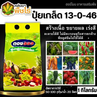 🌽 ตอง333 (13-0-46) 1กิโลกรัม สูตรลมเบ่ง เร่งดอก ดึงช่อ