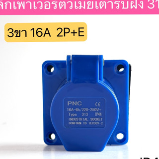 313 เพาเวอร์ปลั๊กตัวเมียเต้ารับฝัง 3ขา 16A 2P+E  IP44  สินค้าพร้อมส่งในไทย