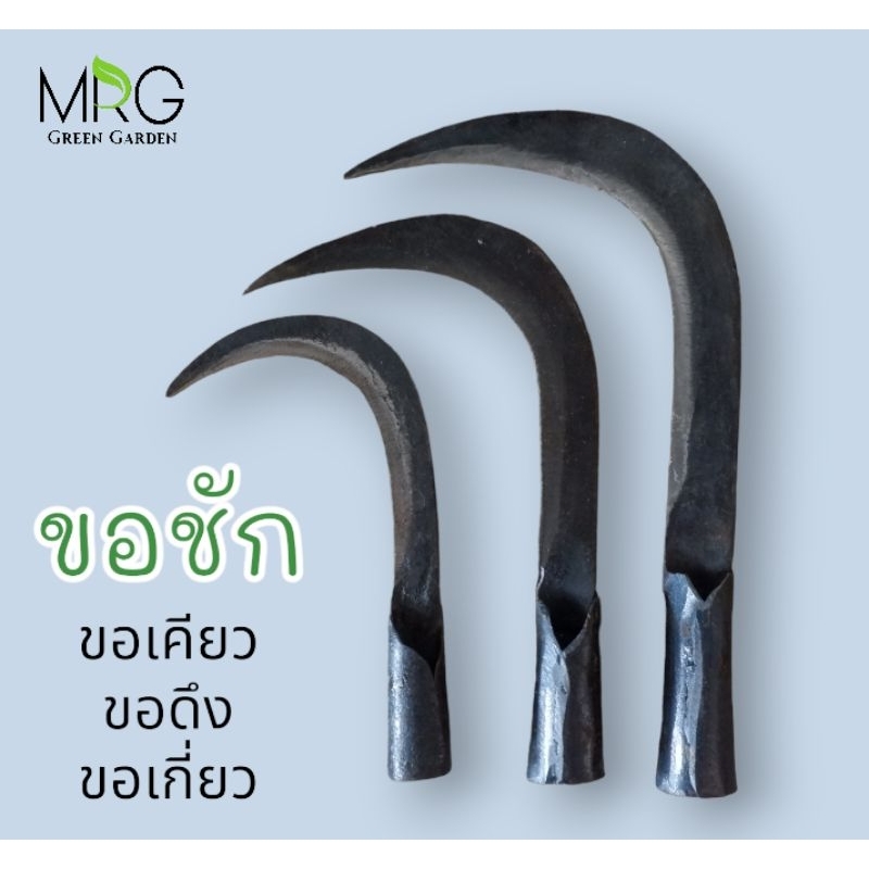 ขอชัก ขอเกี่ยว ขอเคียว มี3ขนาด คมพิเศษ ตะขอเหล็ก ทำจากเหล็กกล้าอย่างดี100% เกาะหมาก เกาะมะพร้าว เกาะกล้วย