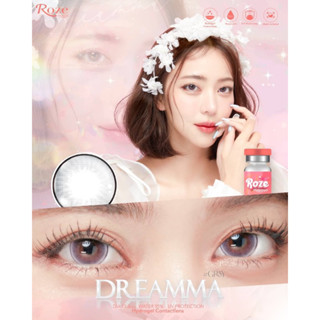 Dreamma gray คอนแทคเลนส์ (Rozelens ค่าอมน้ำ 55%)