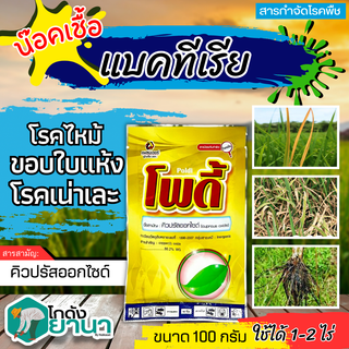 🌾 โพดี้ (คิวปรัสออกไซด์) ขนาด 100กรัม ป้องกันกำจัด โรคที่เกิดจากแบคทีเรียและเชื้อรา