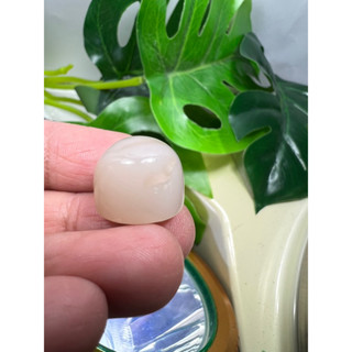 Natural moon stone weight 24 carats size 14x16mm 1 pieces