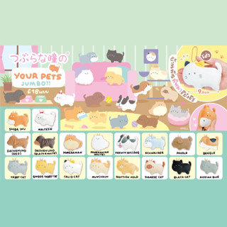 Gacha doll - your pets jumbo ตุ๊กตา หมา แมว จัมโบ้