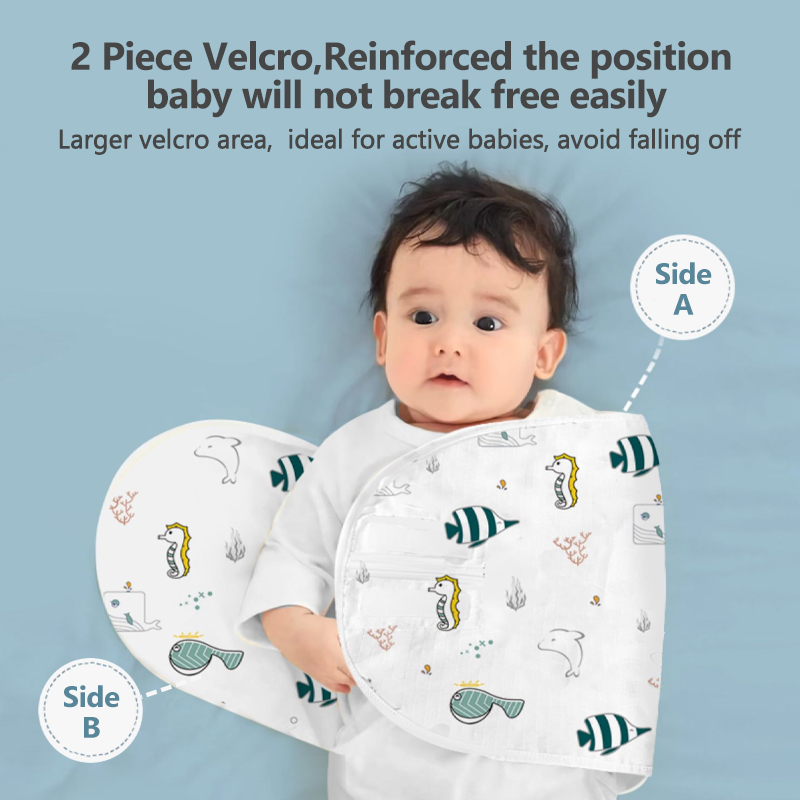 รูปภาพ 5