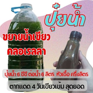 ปุ๋ยน้ำขยายน้ำเขียว สูตรไร้สารเคมี เขียวเร็วภายใน 4 วัน ไรแดงบูมดี