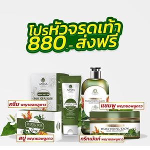 🌿โปรรวมมิตร สุดคุ้ม 🌱💯 (ครีม1 สบู่1 ทรีทเม้นท์1 แชมพู1)