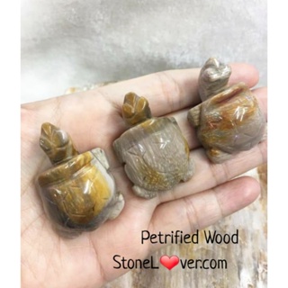 #Petrified Wood#หินแกะสลักเต่า
#ไม้กลายเป็นหิน