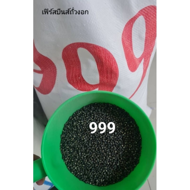 ถั่วแขก 999 ถั่วแขกพม่า ขนาด 1 kg