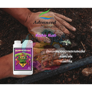 ปุ๋ยเสิรมทำดอก Advanced Nutrients Kushie Kush เพิ่มน้ำมันดอกและขนาด บรรจุภัณฑ์แท้ 250 ML.