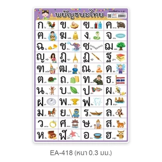 โปสเตอร์พลาสติก PP ก-ฮ, กไก่ ขนาด A4 OST รหัส EA-338,EA-340,EA-355,EA-417,EA-418,EA-420,EA388.