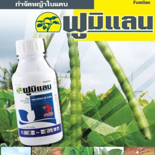 ฟลูอะซิฟอบ-พี-เอทิล 15 % อีซี (ฟูมิแลน ตราช้างแดง)  กำจัดหญ้าใบแคบ ฉีดทับ สัปปะรด พริก ถั่ว แตง ขนาด 500 ซีซี