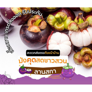 มังคุด คละขนาด ชุด 4 กิโลกรัม มังคุดของดีจังหวัดนครศรีธรรมราช มีรับประกัน
