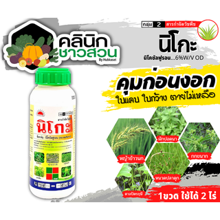 🥬 นิโกะ (นิโคซัลฟูรอน) บรรจุ 500ซีซี สารกำจัดวัชพืช กำจัดหญ้า ในข้าวโพด กำจัดข้าวฟ่างผี หญ้าโขย่ง