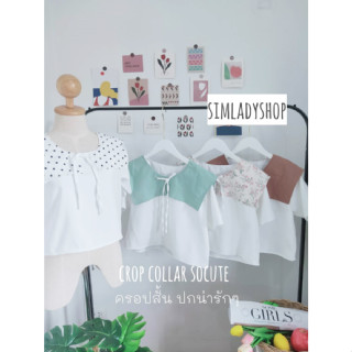 crop collar socute ครอปสั้นคอปกน่ารักๆ