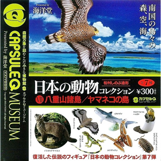 (มีของพร้อมส่ง) Gashapon กาชาปองนกอินทรีย์ แมวอิริโอโมเตะ Animals Of Japan Vol.07 Capsule Q Museum Kaiyodo โมเดลสัตว์