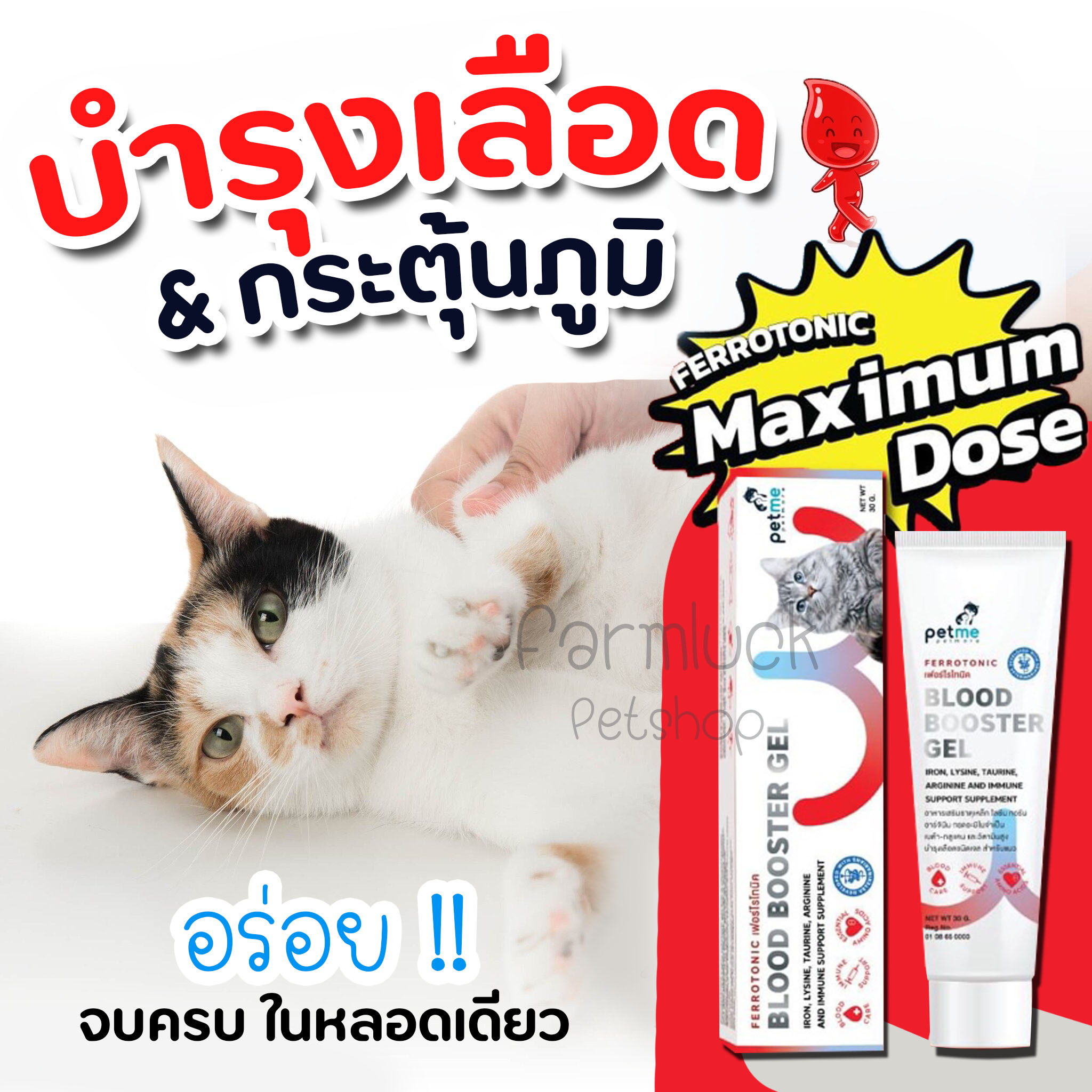 อาหารเสริม บำรุงเลือด สูตรเข้มข้น สำหรับแมว Ferrotonic Petme ดูดซึมรวดเร็ว กินง่ายมีประโยชน์