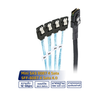 สายเคเบิลฮาร์ดดิสก์ Mini SAS SFF-8087 to 4 SATA