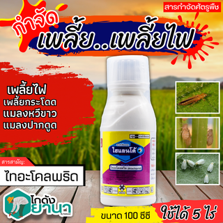 🌾 ไฮแลนโด้ (ไทอะโคลพริด) ขนาด 100ซีซี ใช้ในการป้องกันกำจัดเพลี้ยไฟในนาข้าว