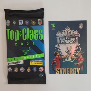 Panini Top Class 2023 ใบฟอยด์ Synergy (ขายแยกใบ)