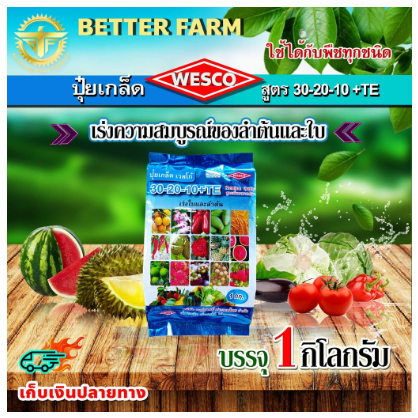 บรรจุ 1 กิโลกรัม WESCO ปุ๋ย ปุ๋ยเกล็ด เวสโก้ 🛒มีหลายสูตรให้เลือก🛒