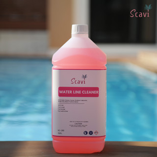 Water Line Cleaner for swimming pool 3.8 L น้ำยาทำความสะอาดคราบน้ำ คราบมัน คราบดำ