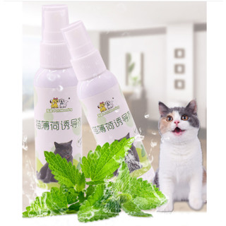 ของเล่นแมว Spray catnip แคทนิปแบบสเปรย์ พร้อมส่ง