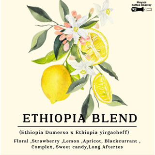 เมล็ดกาแฟEthiopia Blend(Natural x Washed )