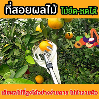 ไม้สอยผลไม้ ตะกร้อสอยผลไม้ พร้อมด้ามยาว ยืดหดได้ 1.7m-4m ปลอดภัย และสะดวกสบาย ที่สอยผลไม้ ตะกร้อสอยมะม่วง