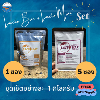 Lacto Bac+Lacto Max ชุดหมักสับปะรด ครบชุด 1 กิโลกรัม