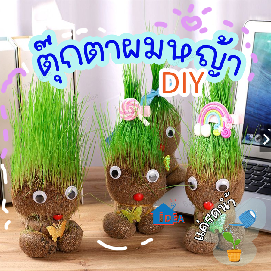 ตุ๊กตาหัวหญ้า ตุ๊กตาผมเป็นหญ้า หญ้าแมวธรรมชาติแท้ หัวหญ้า