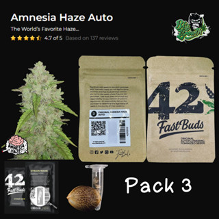 เมล็ดกัญชา Original Amnesia Haze (Auto) - Fastbuds แพ็ค3เมล็ด