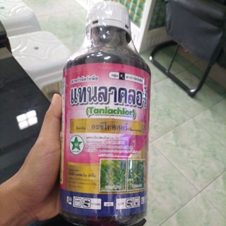 แทนลาคลอร์  1 ลิตร คุมหญ้าในมัน ฉัดหลังปลูกเสร็จ ฉีดทับได้เลย