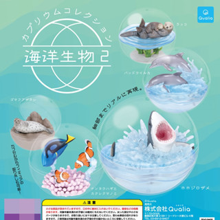 กาชาปอง Caprium Collection Marine Life 2