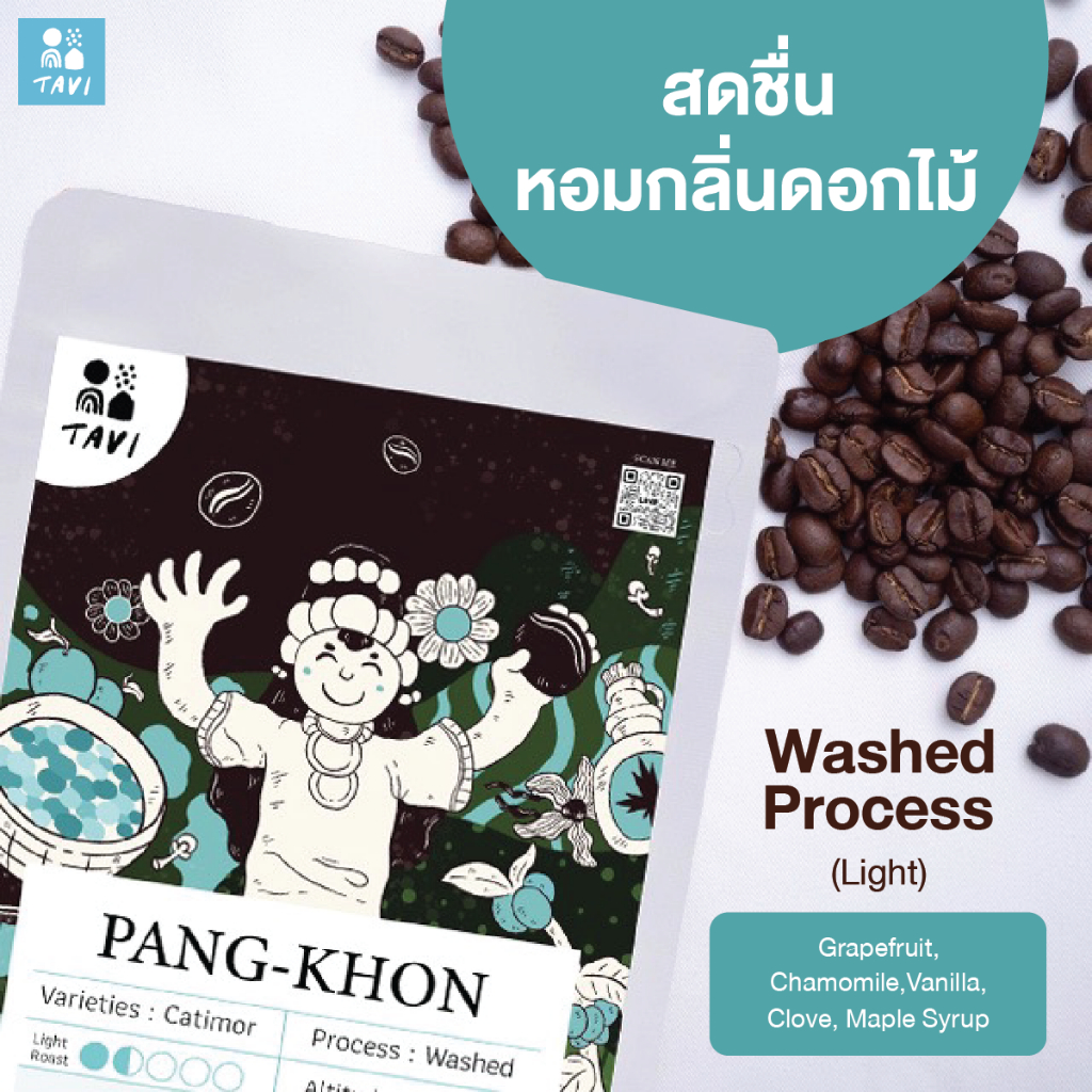 เมล็ดกาแฟปางขอน Tavi Pang Khon Coffee   Light Roast   Washed Process   เมล็ดกาแฟคั่วอ่อน
