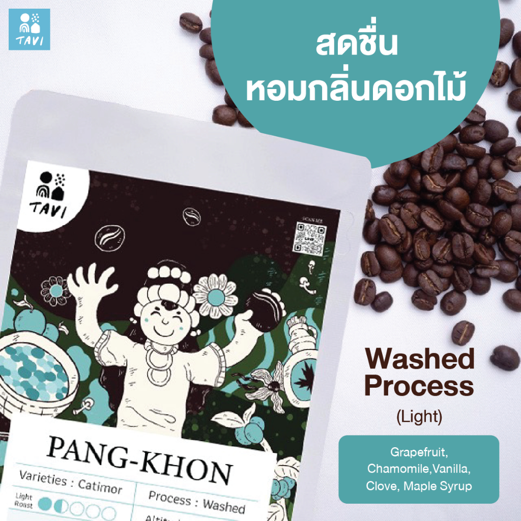 เมล็ดกาแฟปางขอน Tavi Pang Khon Coffee | Light Roast | Washed Process | เมล็ดกาแฟคั่วอ่อน