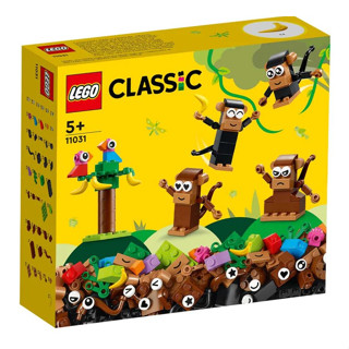 เลโก้ LEGO Classic 11031 Creative Monkey Fun