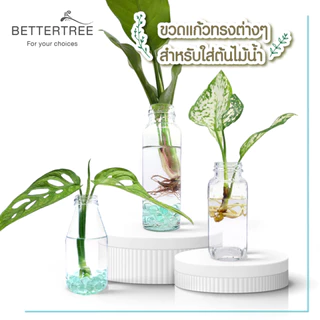 ขวดแก้ว ใส่ต้นไม้เลี้ยงน้ำ แจกันมินอมอล  แจกันแก้ว vase