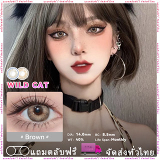 Midroo【COD】🍭คอนแทคเลนส์ Wild Cat Brown/ Blue ขนาดมินิ 🌷14.0mm