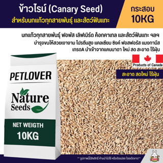 (10KG) ข้าวไรย์ Canada Canary Seed อาหารนกแก้ว และสัตว์พันแทะ ข้าวไรน์บำรุงให้ขนสวย มันเงา