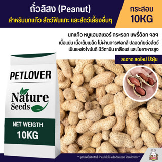 (10KG) ถั่วลิสง Peanut เกรดA นำเข้า อาหารนกแก้ว หนูแฮมสเตอร์ และสัตว์ฟันแทะ