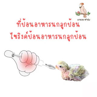 ช้อนป้อนอาหารนกแก้ว ที่ป้อนอาหาร ไซริงค์ป้อนอาหารนกลูกป้อน